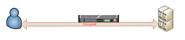 Bntpro SSL Offload SSL Pass Through ve SSL Bridging Nedir 2