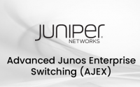 Advanced Junos Enterprise Switching <br>AJEX Eğitimi BNTPRO_img_Juniper_AJEX