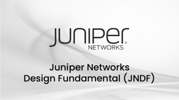 BNTPRO_img_Juniper_JNDF BNTPRO_img_Juniper_JNDF
