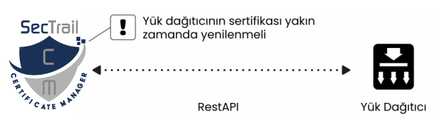 SecTrail-CM-Grafik-01-800x200-1 SecTrail CM